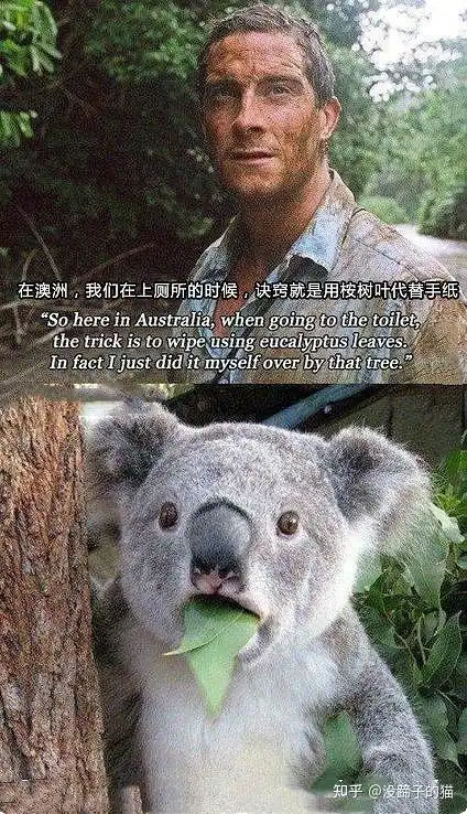 你有哪些让人一看就笑死的图片