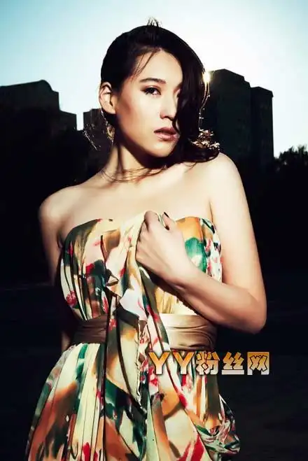 而从宁丹琳被打之后衍生出来的事件就是宁丹琳整容.