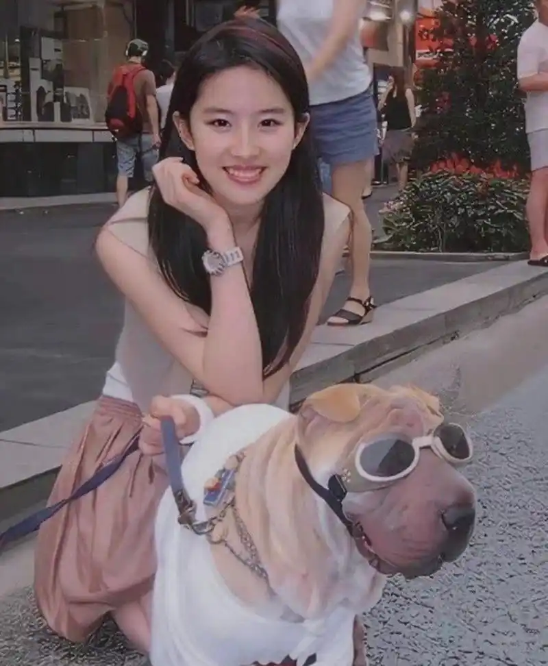 神仙姐姐刘亦菲笑的很灿烂