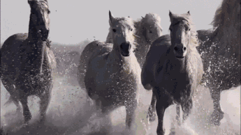 一支穿云箭千军万马来相见