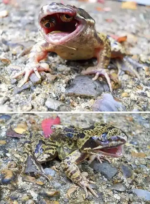 13张自然界中的诡异照片一看吓一跳