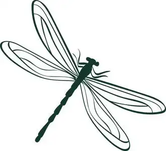 蜻蜓复眼图片-蜻蜓复眼素材-蜻蜓复眼插画-摄图新视界