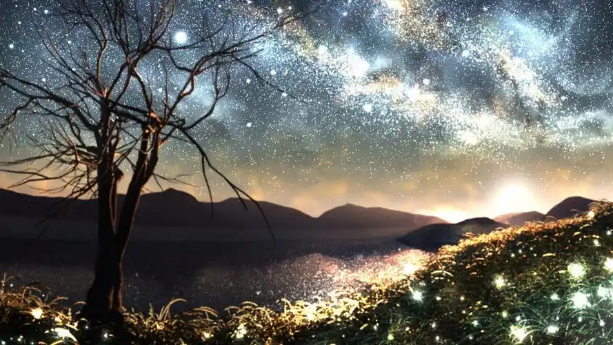 萤火虫之夏浪漫情侣动漫壁纸(7/16)