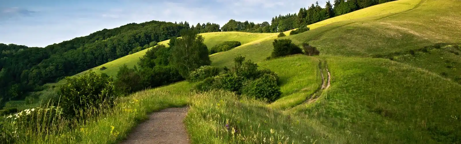 hills, road, grass, clouds, trees, sky 1080x1920 iphone 8/7/6/6s