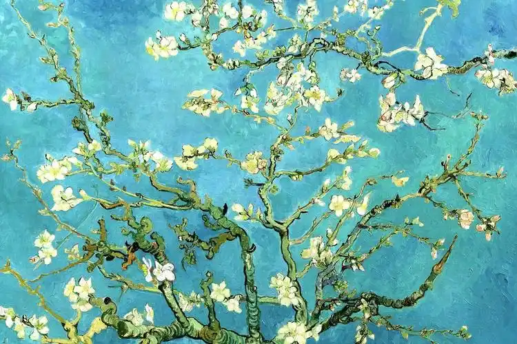 梵高油画作品《杏花》