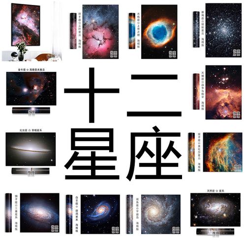 新品大尺寸星系十二星座油画布海报 创意装饰画挂画浪漫生日礼物
