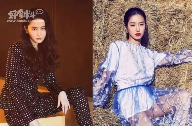 刘亦菲和杨采钰是什么关系两个人的长相为何如此相似