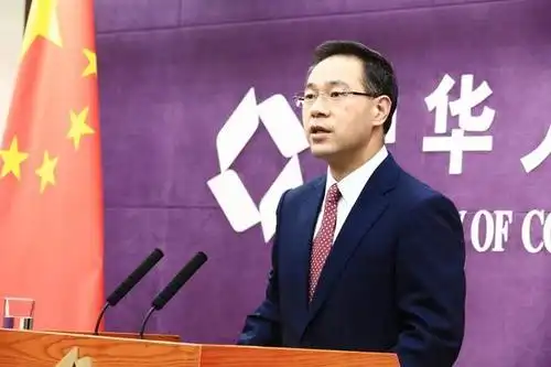 高峰回答记者提问,图自商务部网站