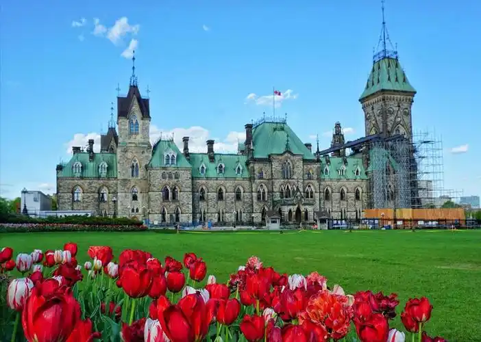 想去加拿大留学?快来看看排名前十的加拿大院校! - 知乎