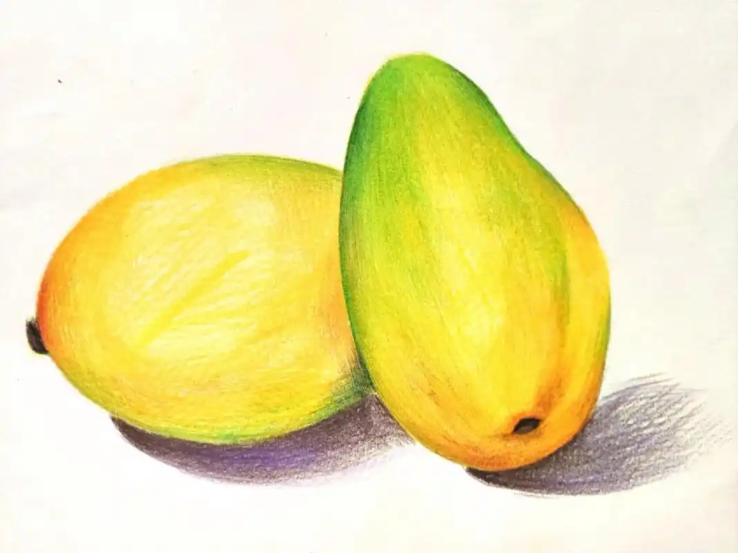 儿童彩铅画《芒果》 着重多色渐变,橙色与绿色衔接自然.