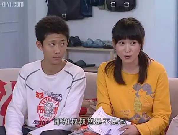 p>《家有儿女4》是《家有儿女》系列的第四部.