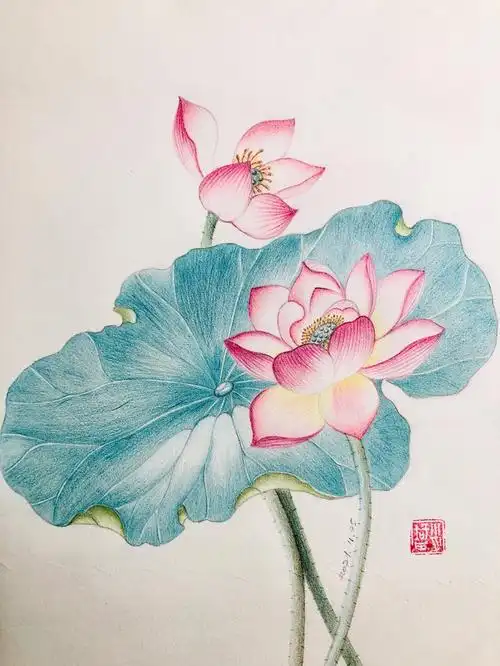 我的彩铅画254