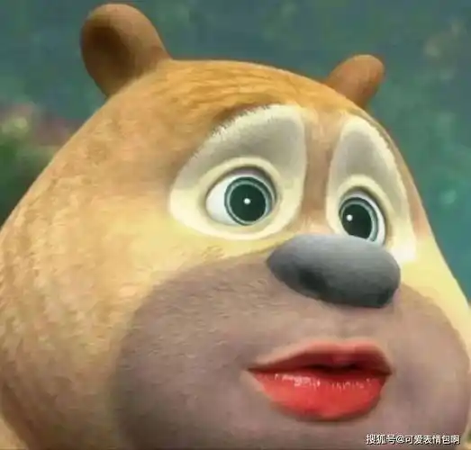 熊大熊二表情包|美女请嫁给我,别逼我求你_侵权_高清_水印