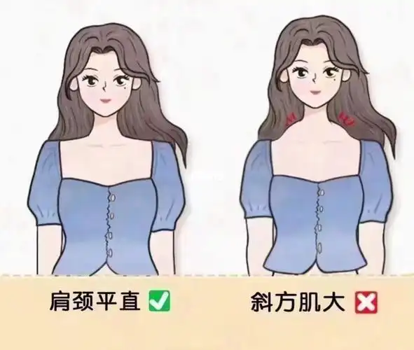 为什么上斜方肌会厚呢