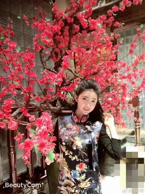 任妙音是几几年出生的多大了(任妙音个人资料年龄哪一年生的)