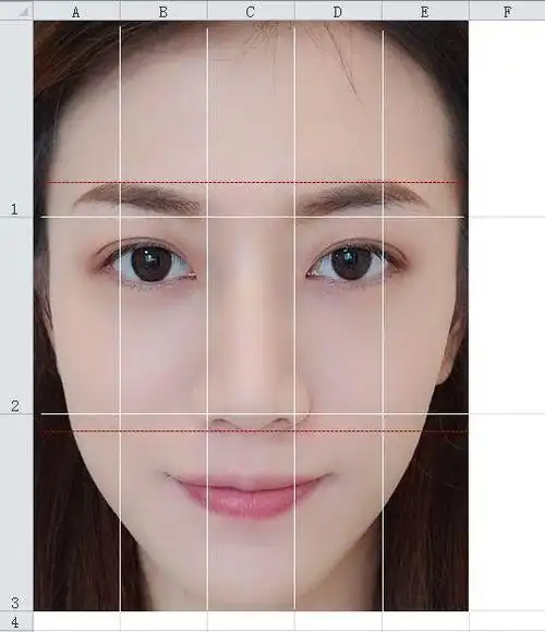 均分前三行使长和宽刚好和照片相同插入竖线画出标准的三庭五眼线位置
