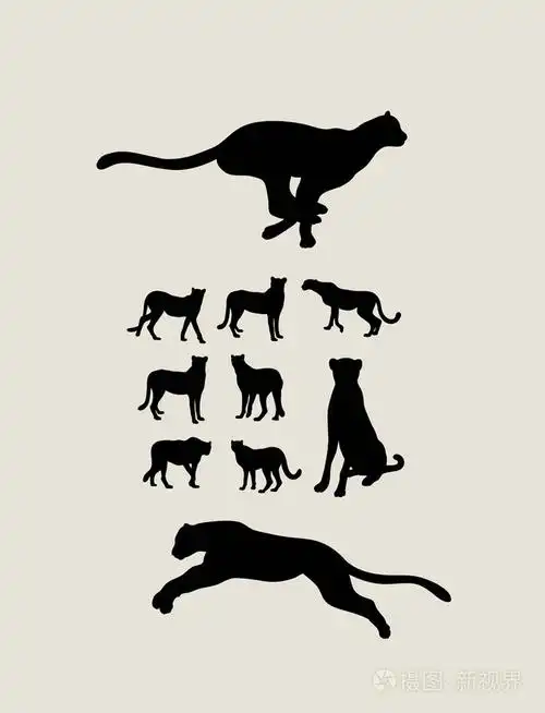 猎豹跑剪影
