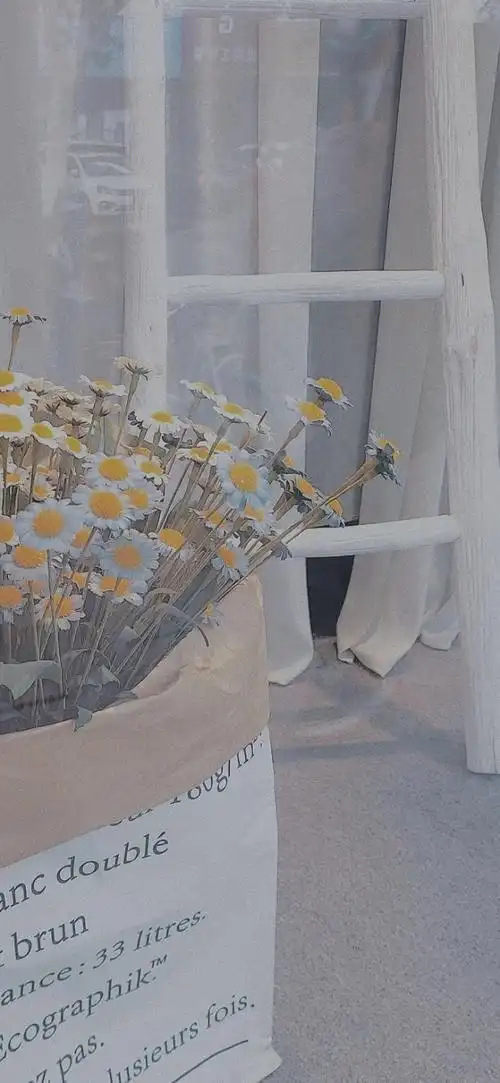 是什么意思ins风壁纸ins冷淡风壁纸简笔画本文由在线网速测试整理编辑