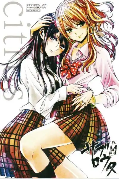 citrus 柑橘味香气