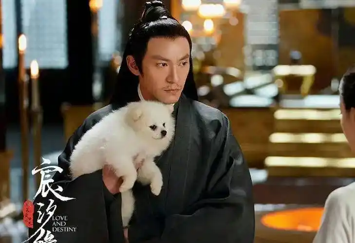 张震把九宸这个战神的三生三世演得非常到位,真的是被张震的演技帅到