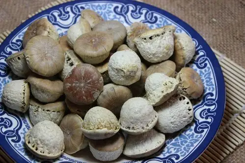 批发 壮阳果 别名风流果 滋阴补肾 壮阳 保证正品