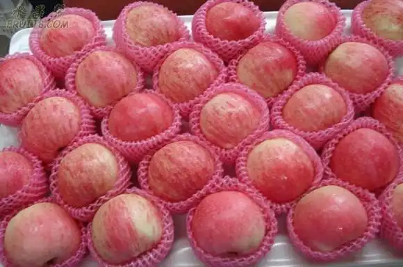 栖霞苹果知名品牌红富士