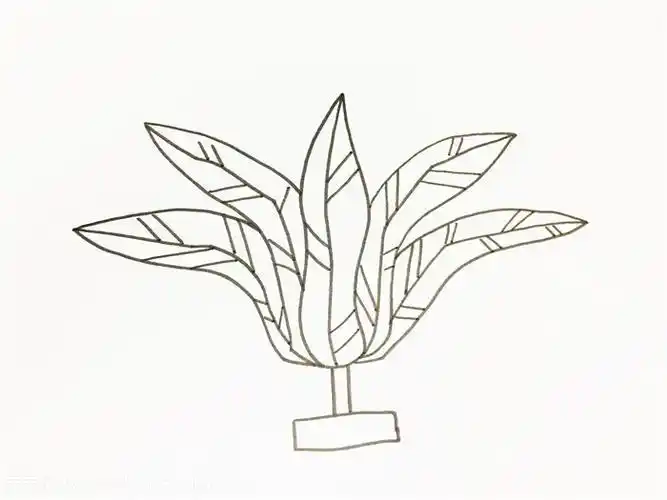 鸡毛毽子简笔画画法图解