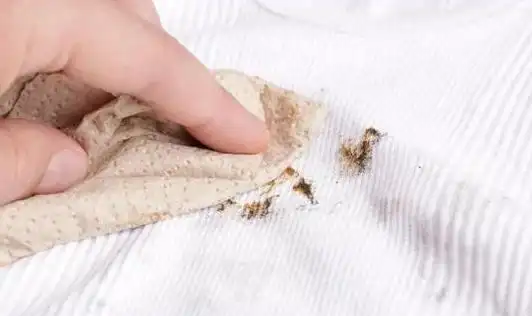 洗衣服忘掏纸巾满是纸屑怎么办?厨房神器三分钟去除纸屑