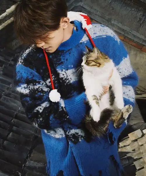 易烊千玺晒新年写真穿蓝色毛衣抱着猫咪治愈系男孩好帅