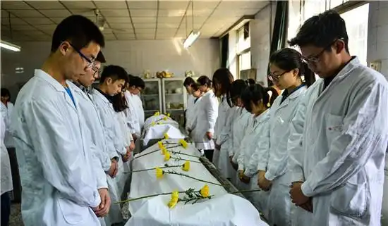 可爱可敬的"大体老师" - 简书