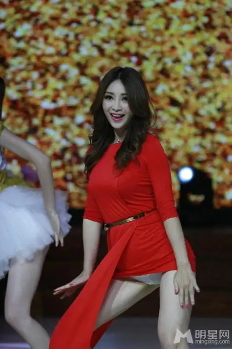 柳岩性感录制天天向上 豪乳倾泄裙底走光见内裤_技点网