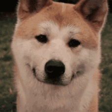 240_240gif 动态图 动图