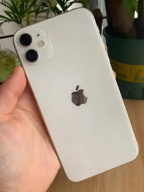 苹果11