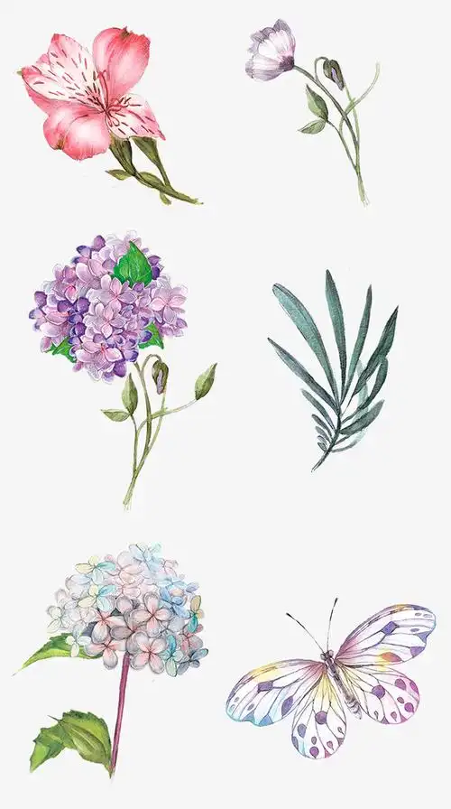 创意合成手绘花朵效果手绘免抠素材免费下载_觅元素51yuansu.com