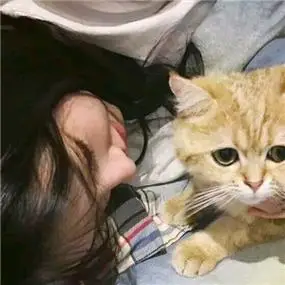 带猫的情侣头像 高清好看的情头一男一女都抱着猫