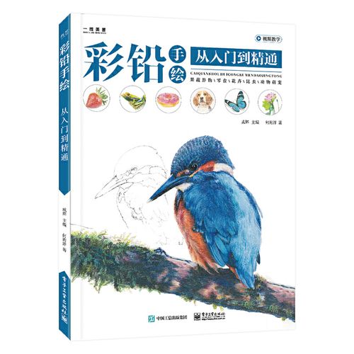 彩铅手绘从入门到精通 新手零基础彩铅果蔬零食静物花卉动物昆虫色彩