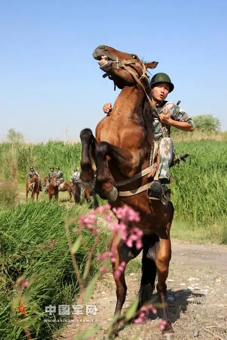 边防战士一心养军马 因马粪味浓与空姐女友分手