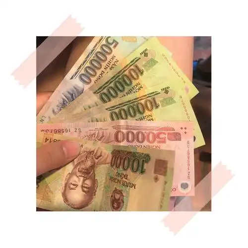 越南的纸币有10000,20000,50000,100000,500000的越南盾.
