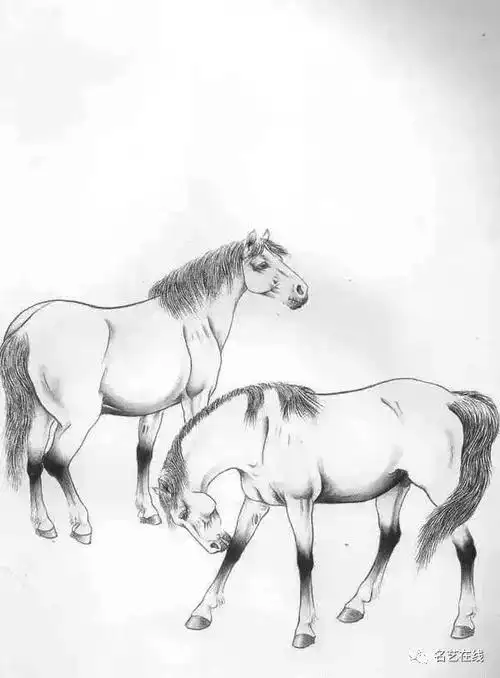 国画技法 | 工笔马的画法 (附骏马白描图70幅)_渲染