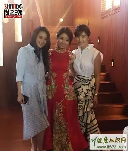 霍建华林心如婚礼换伴娘由妹妹林艾为担任林艾为资料曝光