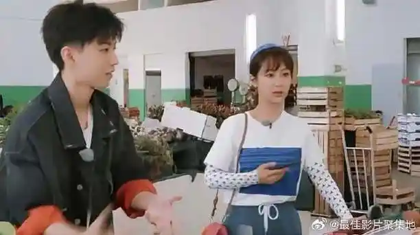 杨紫|中餐厅|王俊凯_新浪新闻