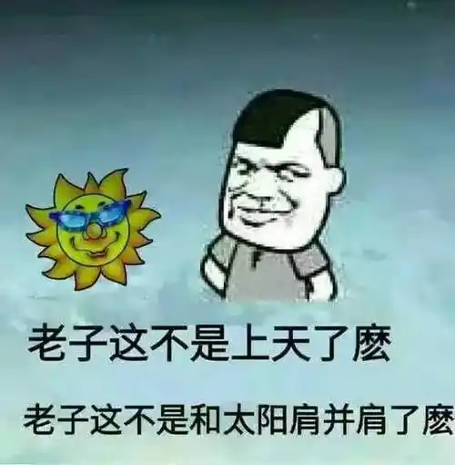 你司飞是个人才表情包 - 表情图