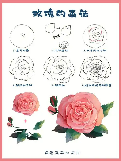零基础学画画丨玫瑰花的进阶画法