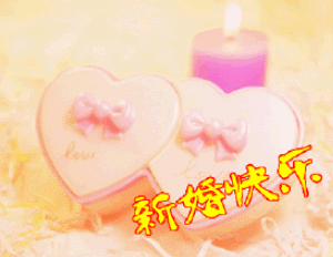 新婚快乐结婚幸福爱情gif动图_动态图_表情包下载_soogif