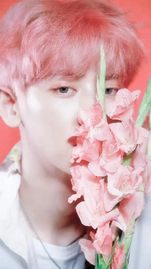 exo朴灿烈 高清美图壁纸 粉色的哥哥