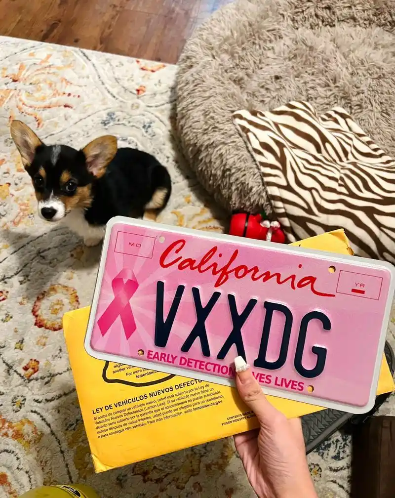 加州的粉色少女心车牌终于到喽 97这个粉色车牌不仅好看并且牌照