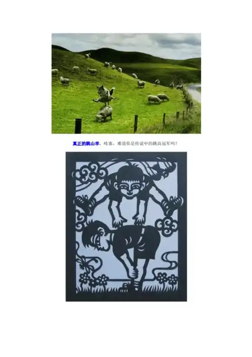 跳马也叫跳山羊动作要领和玩法规则docx4页