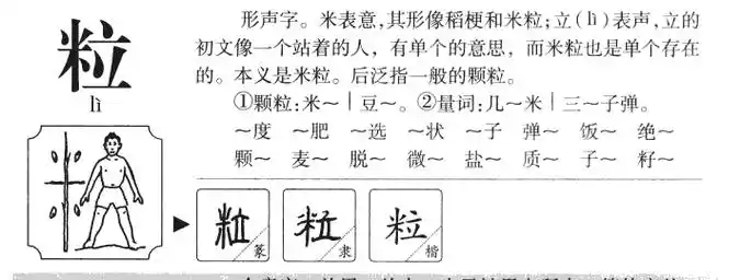 粒字五行属什么粒字取名有什么意义
