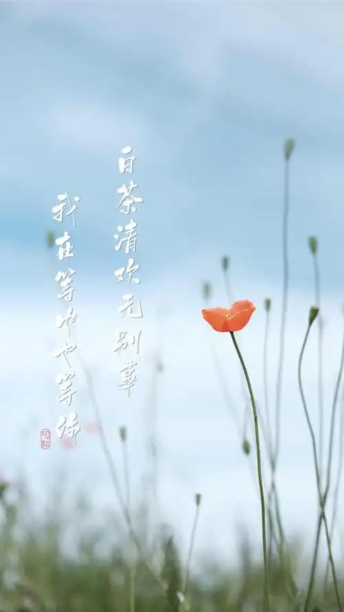 清新简约文字文艺手机壁纸