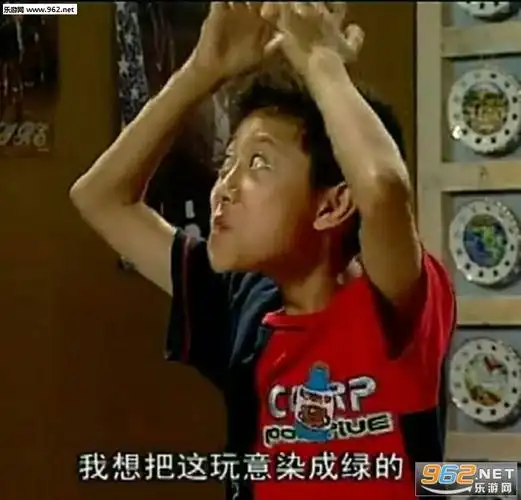 家有儿女刘星搞笑表情包